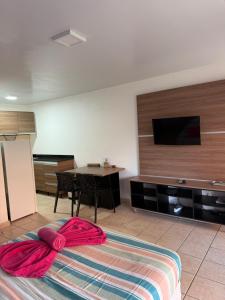 a room with a bed and a tv and a table at Kaz'Baduel piscine, terrasse, wifi et climatisation in Cayenne