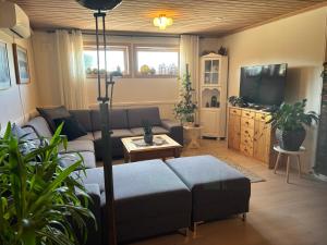 ein Wohnzimmer mit Sofa und Fernseher in der Unterkunft Sandve in Sandve