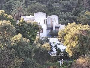 a large white building in the middle of trees at La casa di Aurora - Room A - Boutique Hotel in Agios Ioannis Peristerion +22 photos