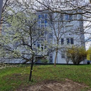 a white building with a tree in front of it at Digitális Detox Apartman in Tiszafüred