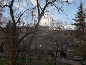 a tree in front of a building with the sun behind it at Center City Stay 2 in Skopje +9 photos