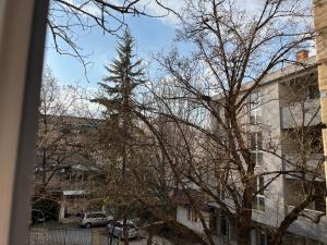 a christmas tree in the middle of a city at Center City Stay 2 in Skopje