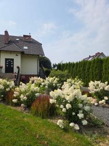 a garden with white flowers in front of a house at Zatrzymaj Się in Stronie Śląskie