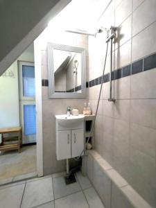 a bathroom with a sink and a mirror at Bed & Healing in Undløse