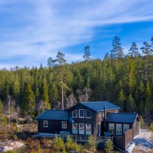 a large house in the middle of a forest at Moderne hytte ved sjøen med badstue in Rømskog