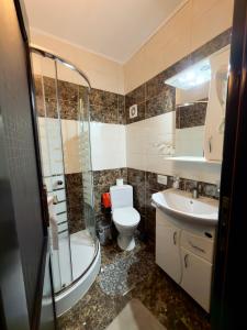 a bathroom with a shower and a toilet and a sink at Casa Corlățeni in Pojorâta