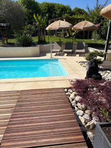 a black dog sitting next to a swimming pool at Les chambres dhotes de la croix bleue 2 in Murinais