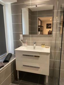 a bathroom with a sink and a mirror at Les chambres dhotes de la croix bleue 2 in Murinais