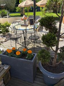 a patio with a table and chairs and flowers at Les chambres dhotes de la croix bleue 2 in Murinais