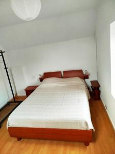 a bedroom with a large bed with two night stands at Gîte Mézilles location sem-we in Mézilles