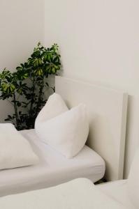 a white bed with white pillows and a plant at Casa Vacanze Centrale in Mori