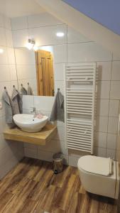 a bathroom with a sink and a toilet and a mirror at Chalupa Chotár in Terchová