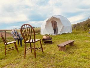 a couple of chairs and a tent in a field at Flow Dome at Estuary Escapes in Kingsbridge