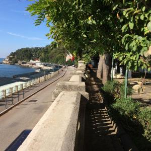a sidewalk with trees on the side of a street at Villa Tergeste in Trieste