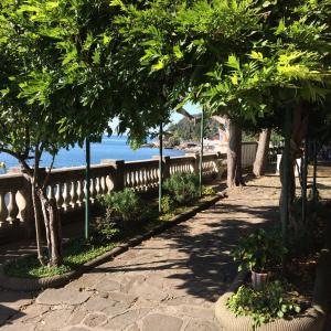 een loopbrug met bomen voor het water bij Villa Tergeste in Trieste