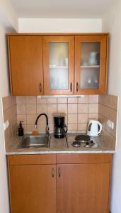 a kitchen with a sink and a stove and cabinets at Apartments Residence Astoria in Rab