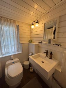 a bathroom with a white toilet and a sink at Hus Sinnermåla in Högsby