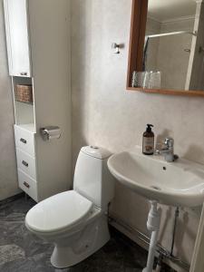 a bathroom with a white toilet and a sink at Hus Bokhultet in Ruda +25 photos
