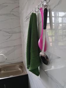 a kitchen with a sink and a spatula and a spoon at Bec property in Ikorodu +8 photos