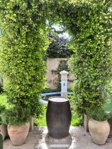 a large barrel in a garden with two bushes at Les Tilleuls in Cavaillon