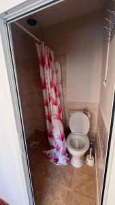 a bathroom with a toilet and a shower curtain at Sharsharai Haftkul in Panjakent