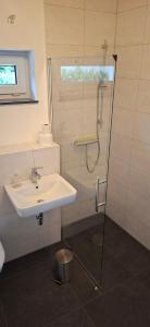 a bathroom with a sink and a shower at Apartments Leipziger Neuseenland in Markkleeberg +13 photos