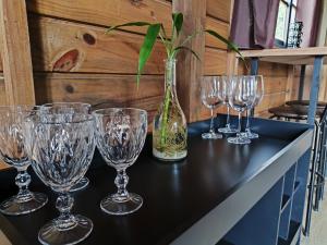 a table with wine glasses and a vase with a plant at Chalé na Vila Do Sossego in Alfredo Wagner +20 photos