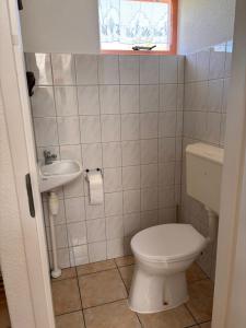 a small bathroom with a toilet and a sink at Seestern 61 in Julianadorp +30 photos