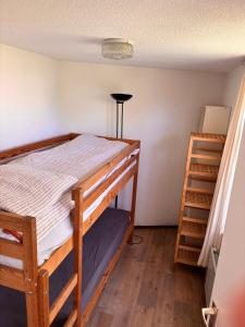 a bedroom with a bunk bed and a ladder at Seestern 61 in Julianadorp