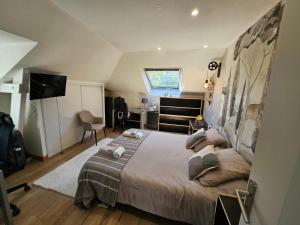 a bedroom with a large bed and a television at chambres de La Maillette in Locminé