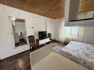 a bedroom with a bed and a tv and a mirror at Fir Tree Villa in Chişinău