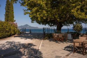 a table and chairs under a tree next to the ocean at Nisi Glamping in Paralia Rachon
