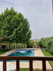 a swimming pool with a wooden fence and a tree at Casa Sofia in Meknès +37 photos