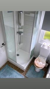 a bathroom with a shower and a toilet at ocean view 15 in West Down