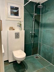 a bathroom with a toilet and a shower at Hulen - Ro & Natur in Bindslev