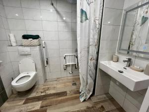 a bathroom with a toilet and a sink at Studio au Fil de l'eau in Langatte