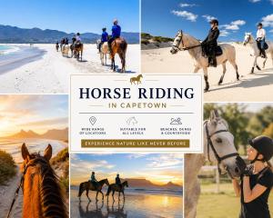 a collage of images of horses riding on the beach at On Park Luxury One Bed & Bath- in Cape Town