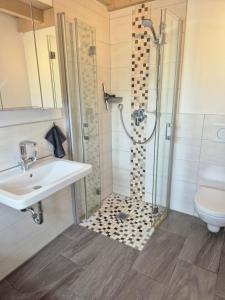 a bathroom with a shower and a sink and a toilet at LIV Retreat in Dietenhofen