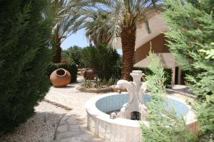 a fountain in the middle of a yard with palm trees at Anna Hotel Apartments in Paphos City
