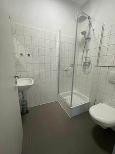 a bathroom with a shower and a toilet and a sink at Ferienwohnung Ulsteraue in Geisa