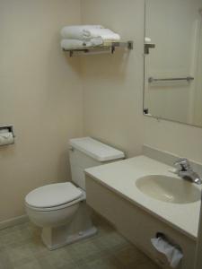 a bathroom with a toilet and a sink and a mirror at Trade winds in Valentine