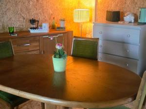 a wooden table with a potted plant on top of it at Cozy Cow Farm Lodge in Lucerne
