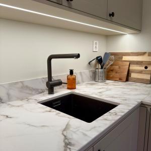 a kitchen counter with a sink with a soap bottle on it at Oslo, Classic Apartment in Oslo +18 photos