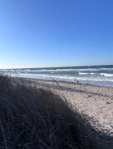 a beach with some grass and the ocean at Strandkorb 115 in Rostock