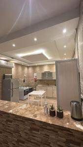 a kitchen with stainless steel appliances and a counter with plants at شاليه لافندر ينبع in Yanbu Al Bahr