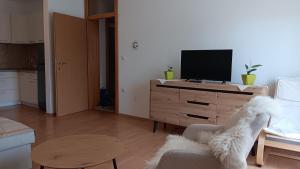 a living room with a tv on a wooden dresser at Una Relax Apartment - Naturally Cool - North-Facing - Near the River in Bosanska Krupa