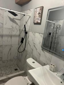 a bathroom with a shower and a toilet and a sink at Op paradise living in Kingston +4 photos