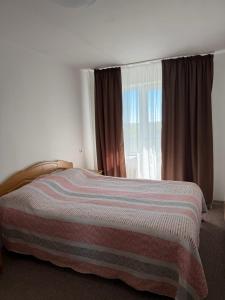 a bedroom with a bed with a large window at NV Apartments in Volodymyr-Volynskyi