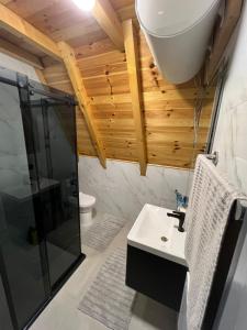 a bathroom with a shower and a sink at LakeSideCottage in Plav