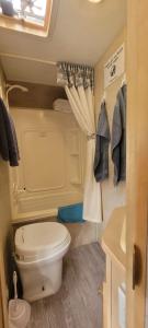 a small bathroom with a toilet and a sink at RV with Rocky Mountains View in McBride